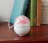 花の加湿器